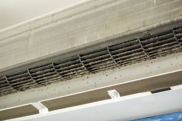 Emergency Air Duct Cleaning in Carlisle, IA